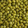 Sell green mung bean