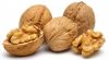 Sell walnut kernels