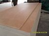 Sell Bingtangor Plywood