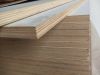 Sale Commercial Plywood