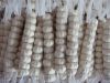 Sell Garlic      Pizhou white garlic