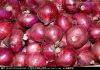 Sell Fresh red onion