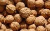 Sell walnuts