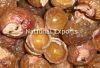 Organic Soapnuts (Sapindus Mukorossi) wholesale