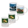 Coffee Mugs (USA Distributor)