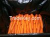 Fresh Australian Carrots