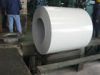 Sell SGCC galvanized cold rolled steel coil