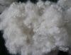 Regenerated Hollow Polyester Staple Fiber