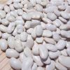 White kidney beans specification of white butter beans