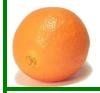Fresh Mandarin Orange / Kinnow