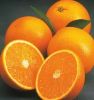 Fresh Mandarin  Oranges