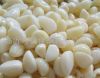 Sell Fresh White Garlic