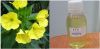 Sell (Evening Primrose Oil)