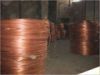 Sell Copper Rod and wire 99.95% 3mm - 12.5mm