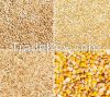 Feed barley, corn, wheat