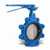 Lug Type Butterfly Valve