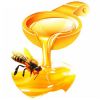 Sell Chinese Pure Nature Bee Honey
