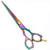 Professional Hair Cutting Shears