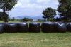 silage wrap