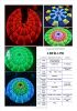 crystal led display
