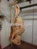 Frozen Mutton Carcass and Frozen Lamb Head