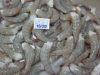 Sell Squid  Cuttlefish  Octopus  Vannamei  Ribbonfish  I Mackerel