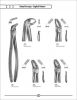 Dental forcep - English pattern