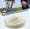 Selling Chondroitin sulfate( USP36, USP39, EP, JP)