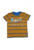 Children's T-shirt Yarn Dyed / Polo Shirt/ Children's wear