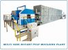 Multi Side Rotary Pulp Moulding Plant