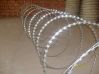 Sell galvanized concertina wire