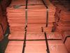 Selling Copper Cathode / Copper Wire