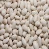 WHITE BUTTER BEANS FOR SELL