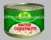Canned Water Chestnut(slices/whole/dice 227g, 2950g FDA)