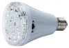 LED Emergency bulb