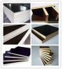Sell construction plywood