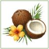 Desiccated Coconut