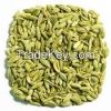 Fennel seeds