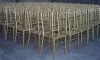 Sell Gold chiavari chairs