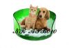 SELL crystal pet bed(NR_APB010)