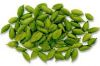 We supply cardamom with good quality in any time