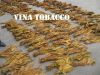 Tobacco raw in Vietnam high quality