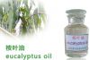 Sell Organic Eucalyptus Oil, Eucalyptus essential oil, CAS 8000-48-4