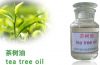 Sell Pure And Natural Tea Tree Oil, CAS No. 68647-73-4