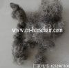 Sell curled horse tail hair for sofa