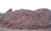 Sell ISRI 211 SHREDDED SCRAP