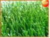 Sell Artificial Grass synthetic turf