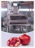 Sell Pomegranate arils processing machine