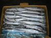 Sell Pacific Saury