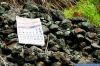 Iron Ore 63.5% |  Fe 63.5% Iron Ore | Iron Ore 63.5% | Iron Ore Suppliers | Iron Ore Exporters | Iron Ore Traders | Iron Ore Producers | High Quality Iron Ore | Fe 55% Ore | Hematite Iron Ore | High Grade Iron Ore | Iron Ore Rock | Iron Ore Mineral | Fe 4